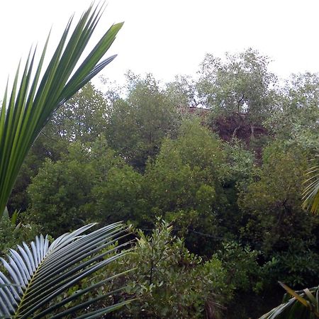 Mermaid Cabana And Tree Houses 坦加拉 外观 照片