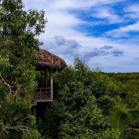Mermaid Cabana And Tree Houses 坦加拉 外观 照片