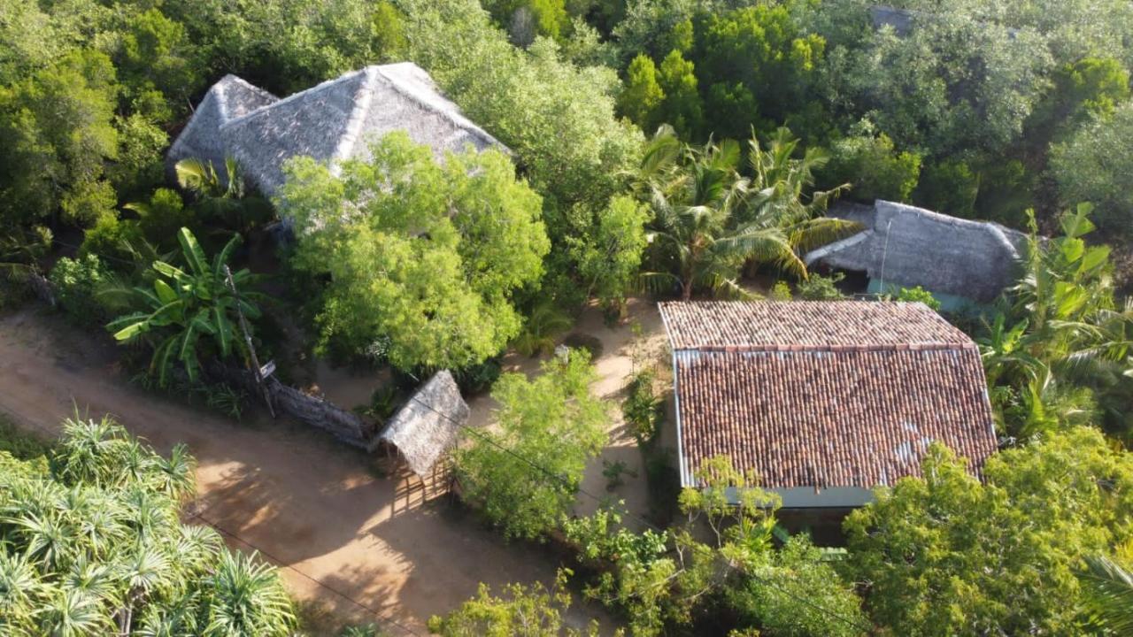 Mermaid Cabana And Tree Houses 坦加拉 外观 照片