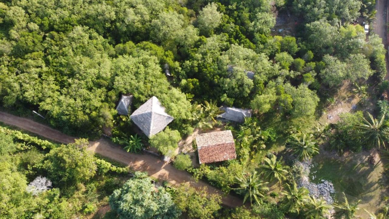 Mermaid Cabana And Tree Houses 坦加拉 客房 照片