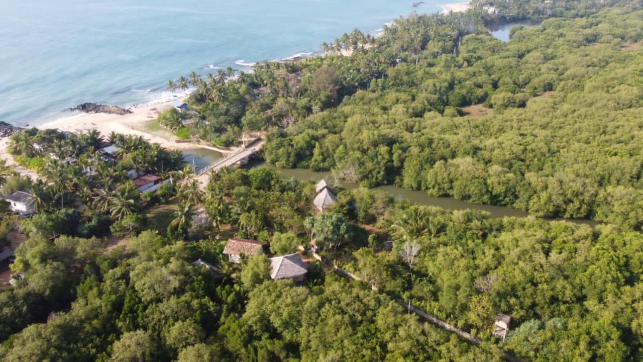 Mermaid Cabana And Tree Houses 坦加拉 外观 照片