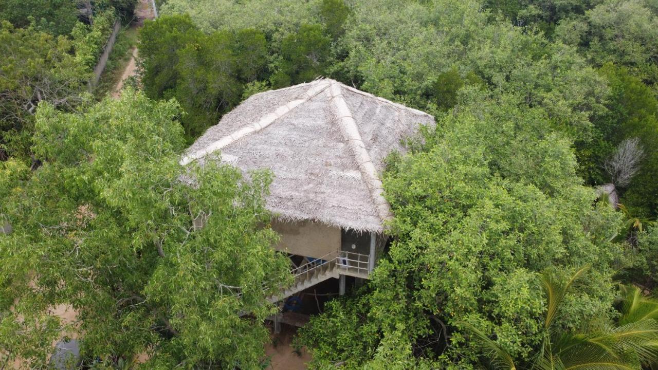 Mermaid Cabana And Tree Houses 坦加拉 外观 照片