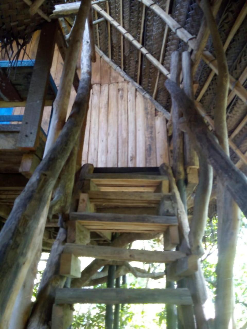 Mermaid Cabana And Tree Houses 坦加拉 客房 照片