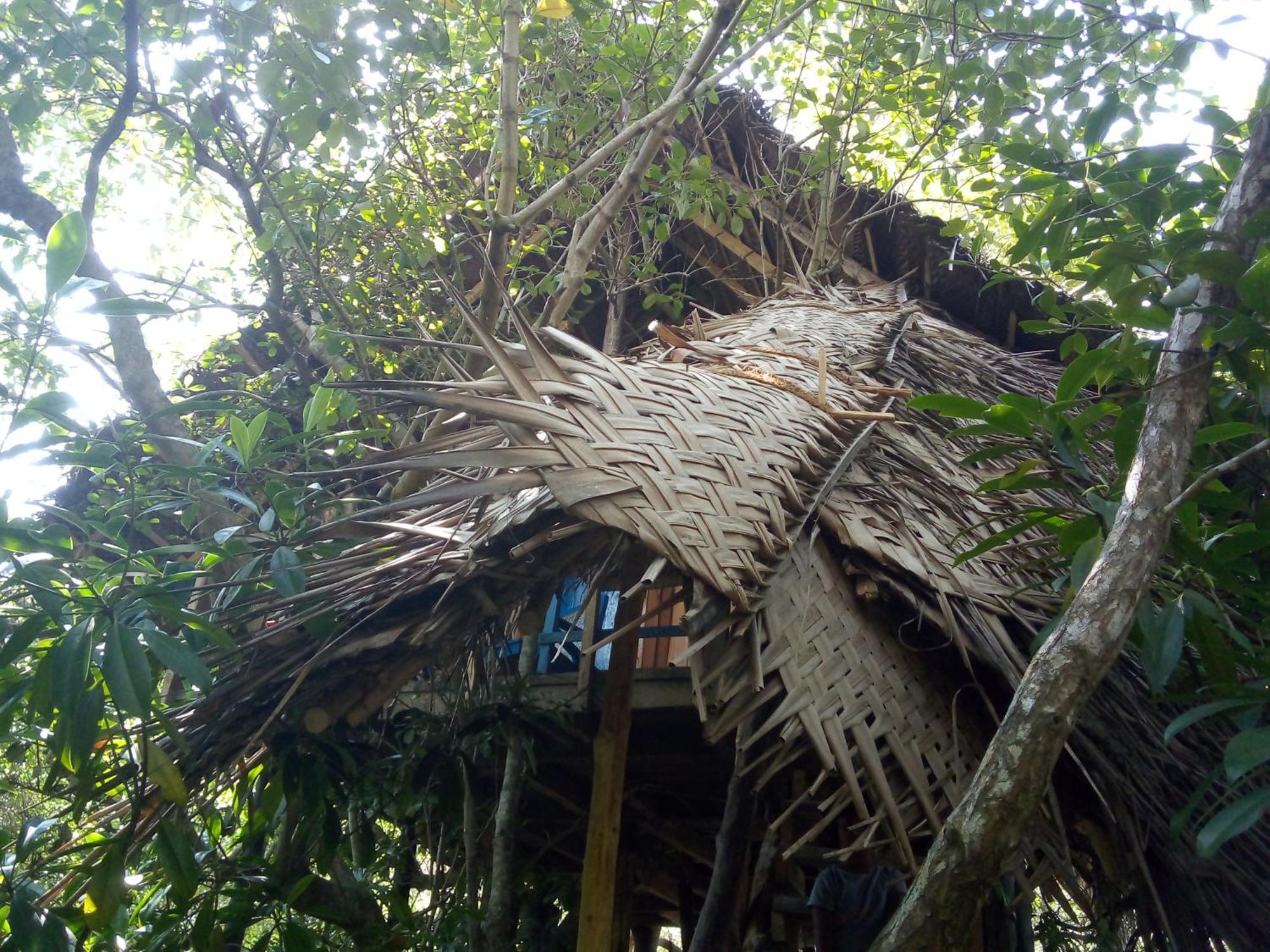 Mermaid Cabana And Tree Houses 坦加拉 外观 照片