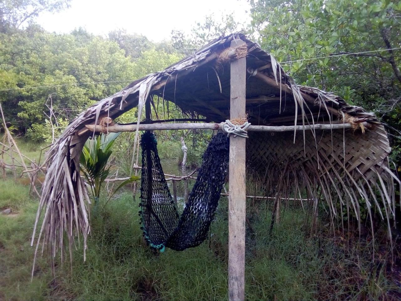 Mermaid Cabana And Tree Houses 坦加拉 外观 照片