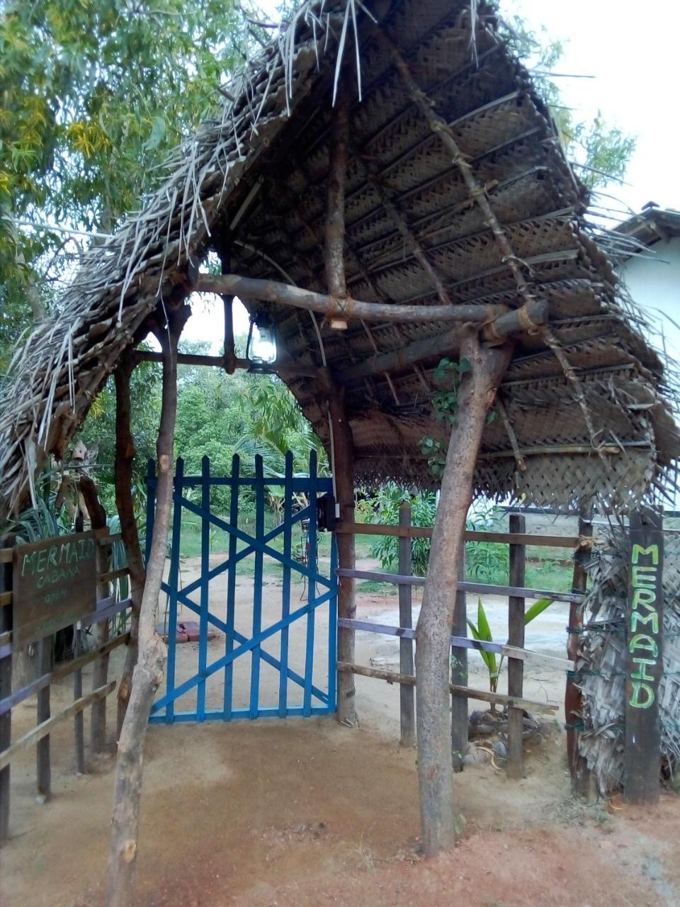Mermaid Cabana And Tree Houses 坦加拉 外观 照片