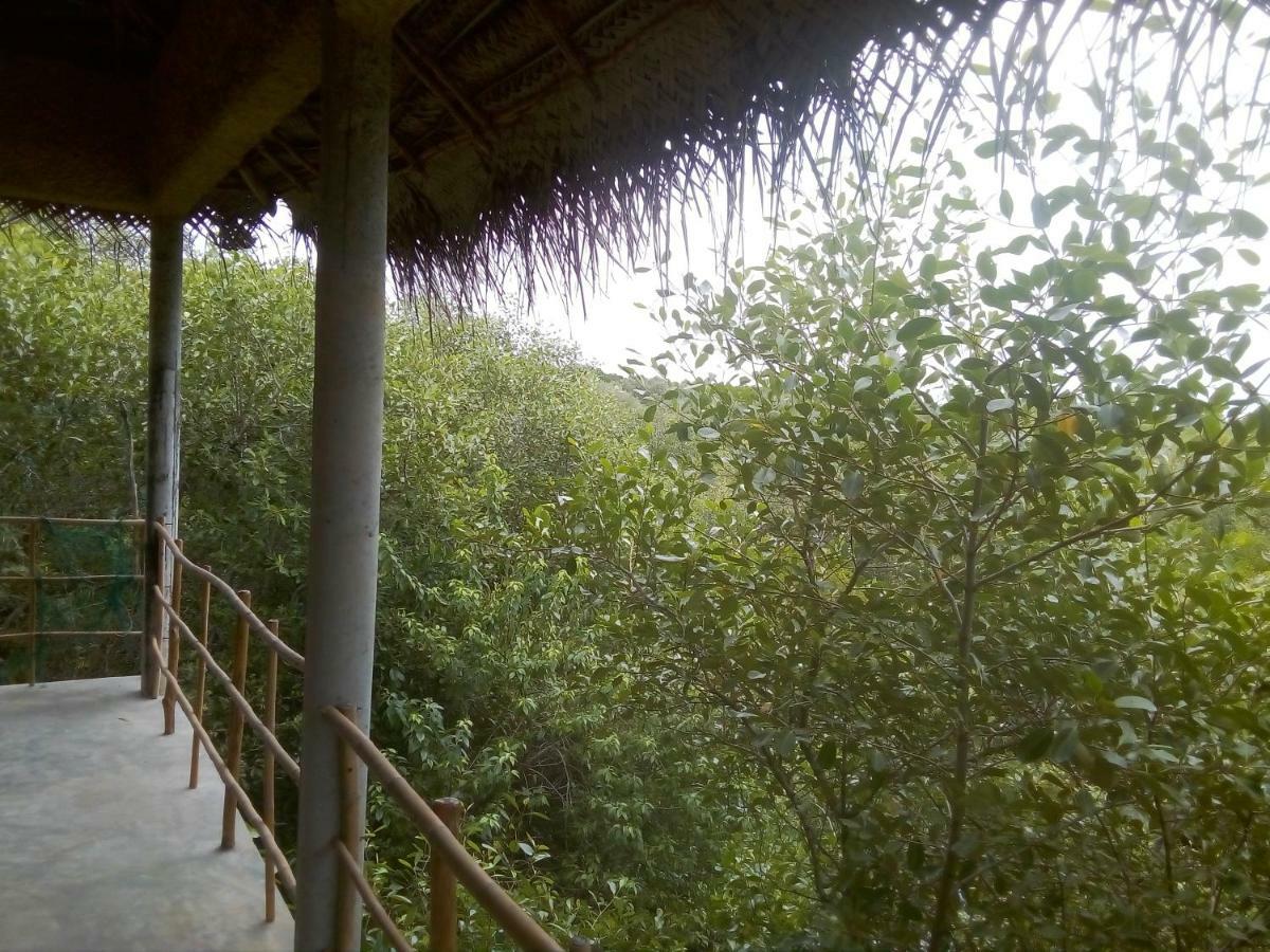 Mermaid Cabana And Tree Houses 坦加拉 外观 照片