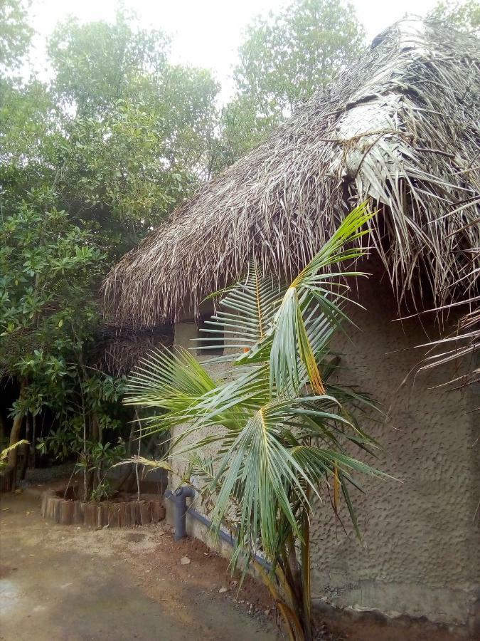 Mermaid Cabana And Tree Houses 坦加拉 外观 照片