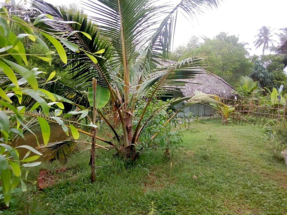Mermaid Cabana And Tree Houses 坦加拉 外观 照片