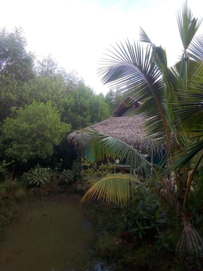 Mermaid Cabana And Tree Houses 坦加拉 外观 照片