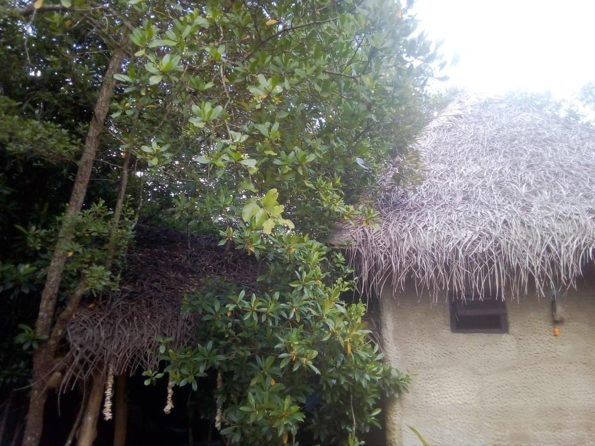 Mermaid Cabana And Tree Houses 坦加拉 外观 照片
