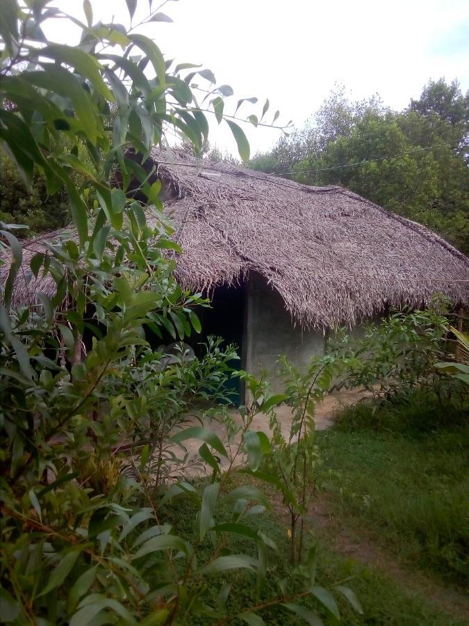 Mermaid Cabana And Tree Houses 坦加拉 外观 照片