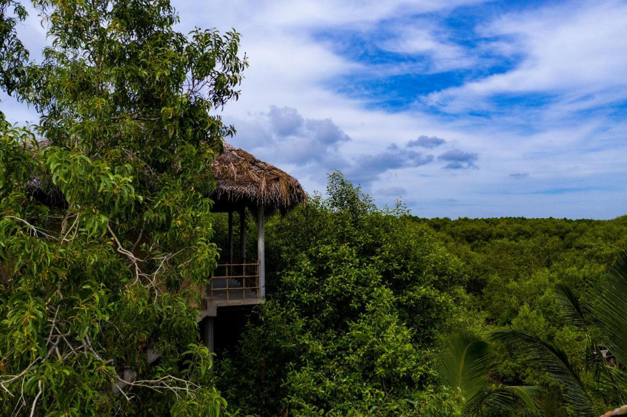 Mermaid Cabana And Tree Houses 坦加拉 外观 照片