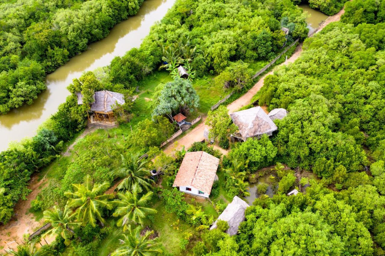 Mermaid Cabana And Tree Houses 坦加拉 外观 照片