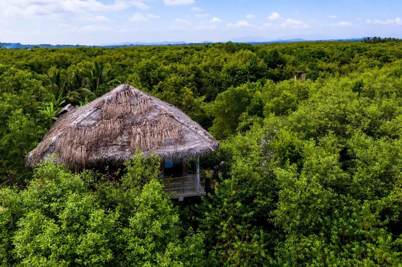 Mermaid Cabana And Tree Houses 坦加拉 外观 照片