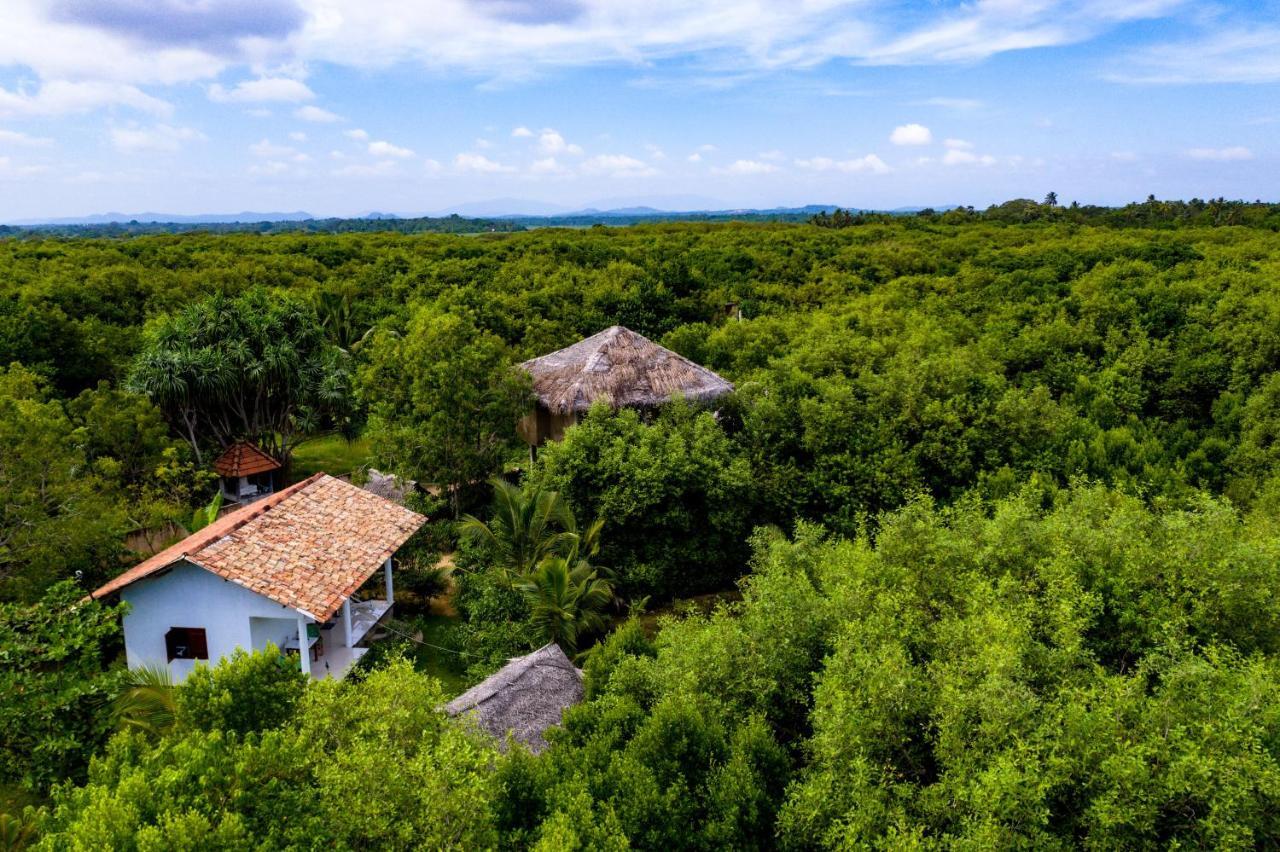 Mermaid Cabana And Tree Houses 坦加拉 外观 照片