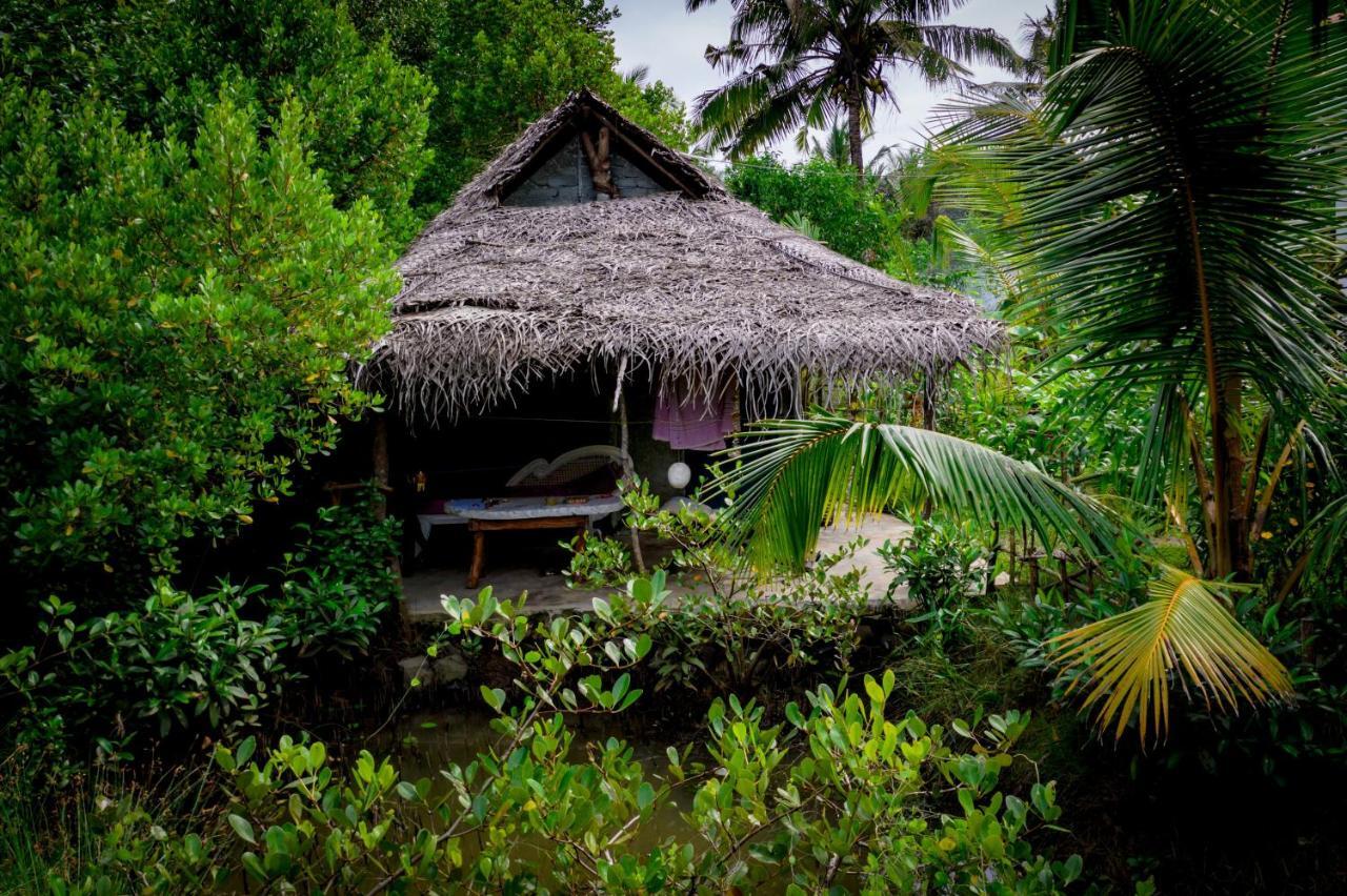 Mermaid Cabana And Tree Houses 坦加拉 外观 照片