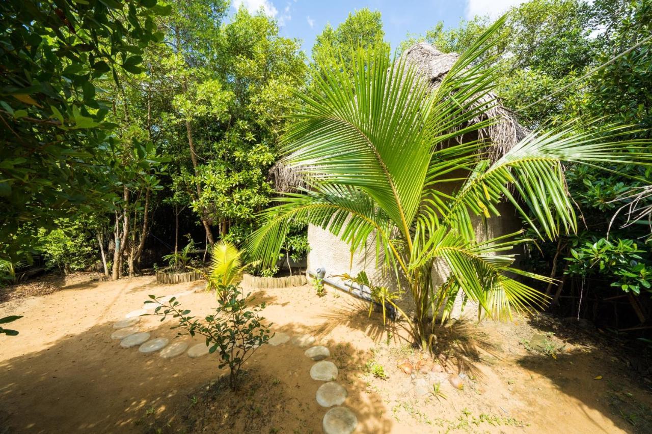 Mermaid Cabana And Tree Houses 坦加拉 外观 照片
